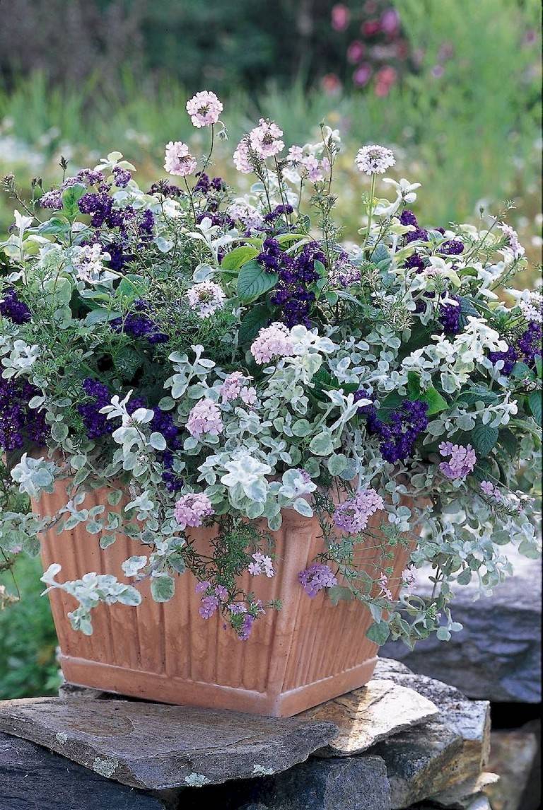 Beautiful Summer Container Garden Flowers Ideas