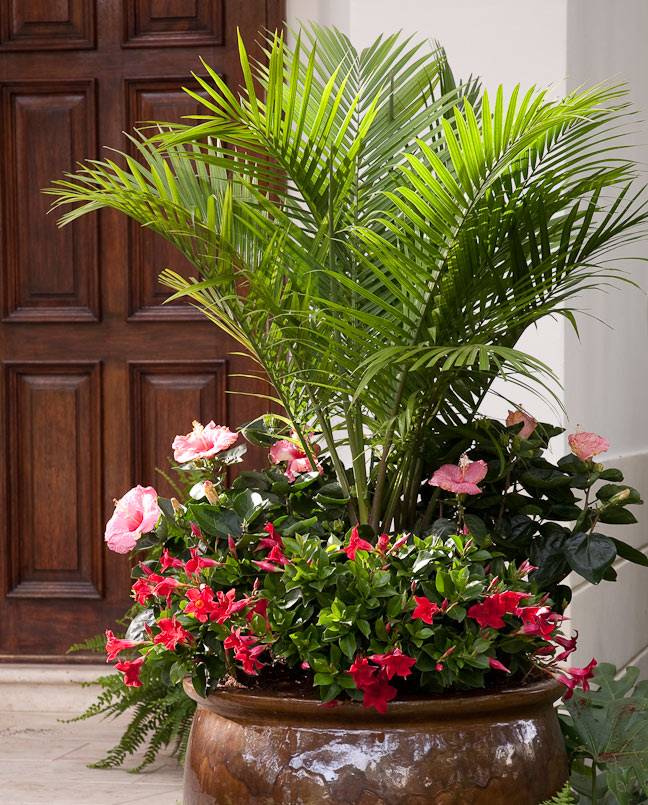 Stunning Container Garden Planting Design Ideas Garden Containers