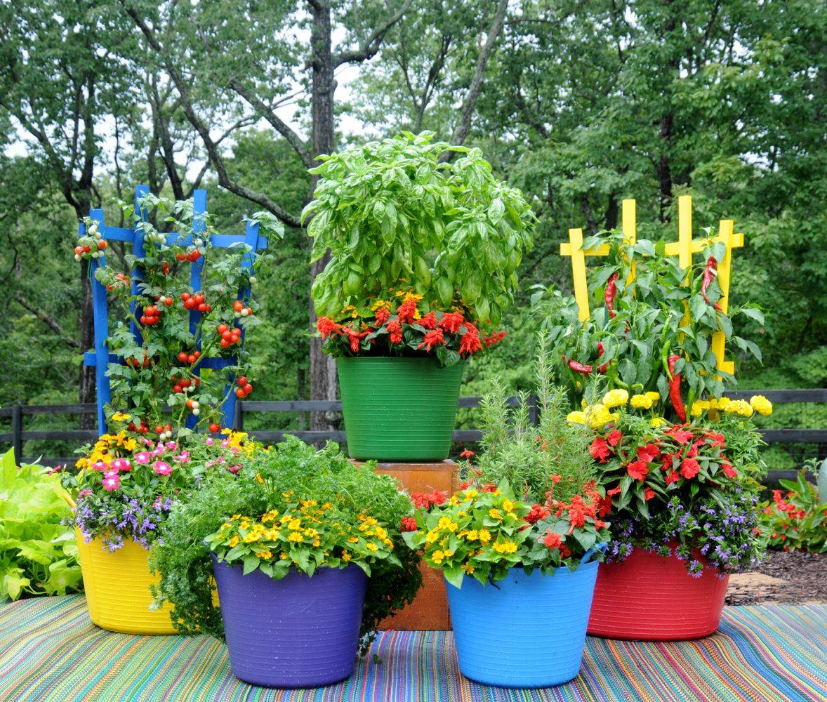 Beautiful Container Container Gardening