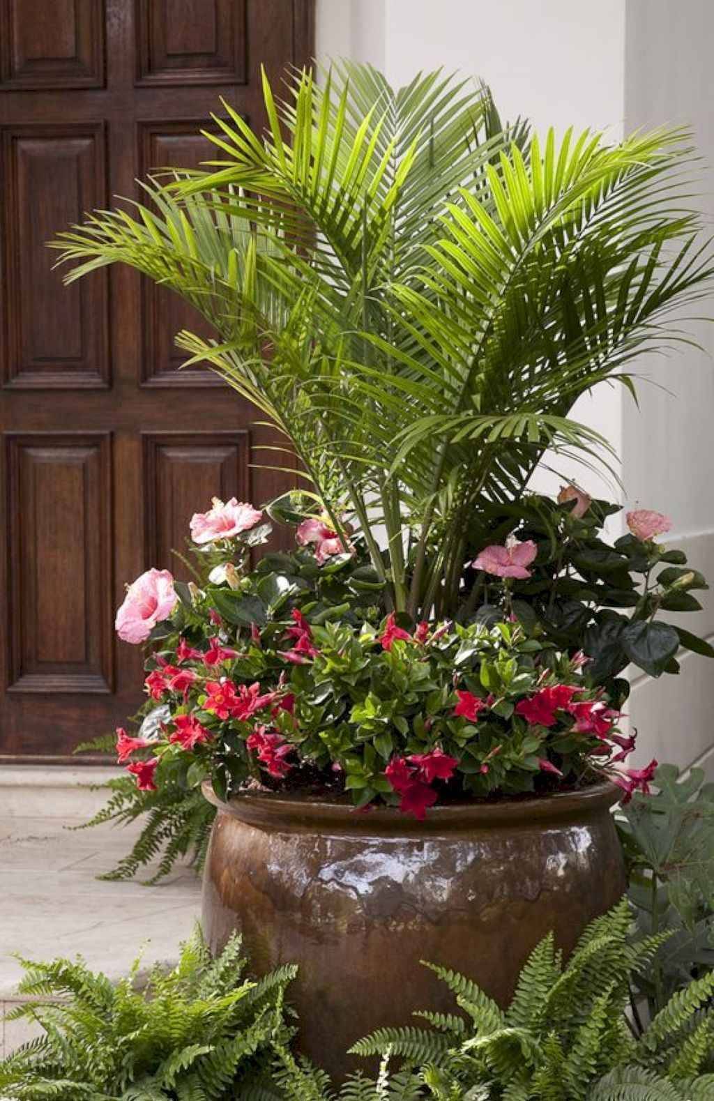Combinations Container Garden Nofail Tropical Verdant Palms