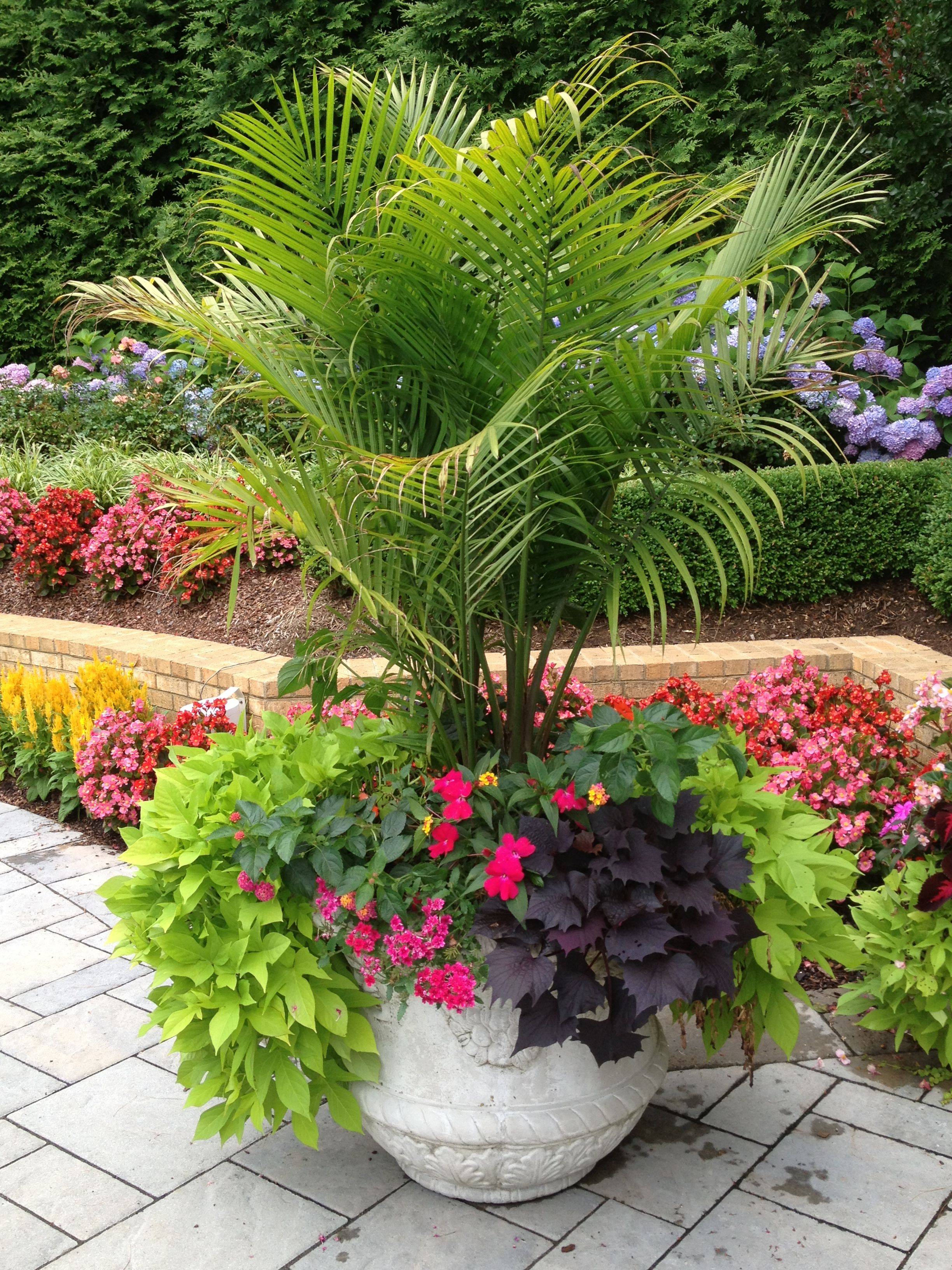 Container Gardening Part Joyful Scribblings