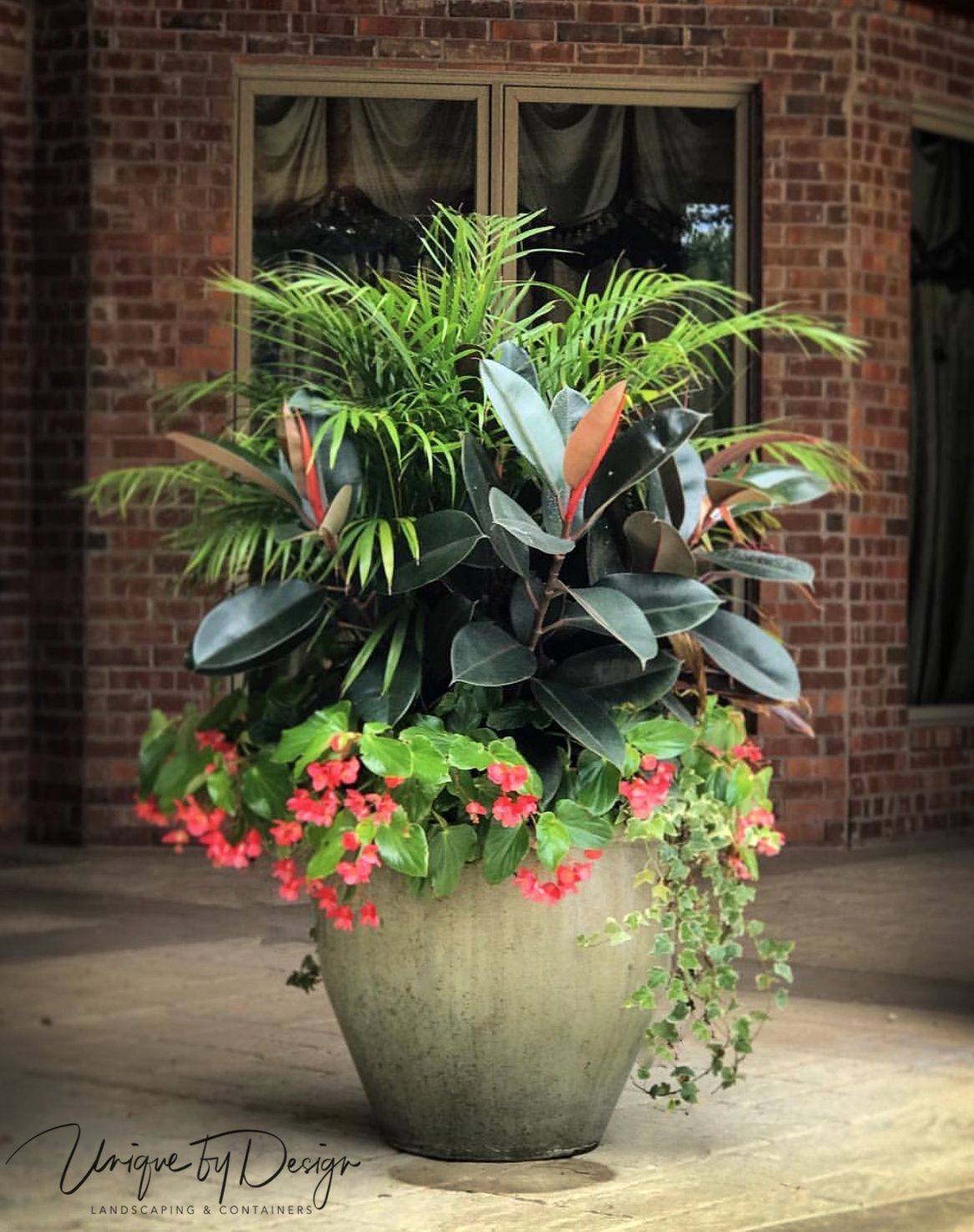 20 Container Garden with Palms Ideas To Consider SharonSable