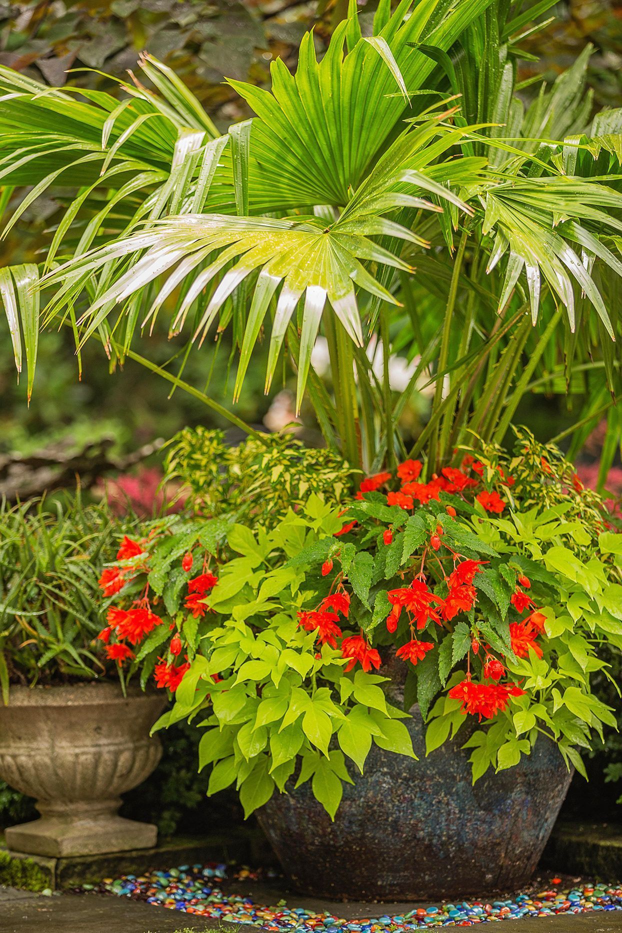 Florida Container Gardening