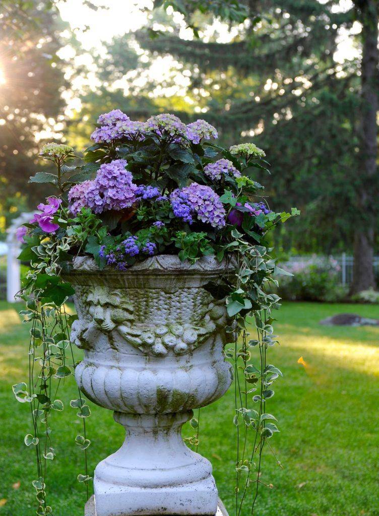 A White Flower Garden Decoratop