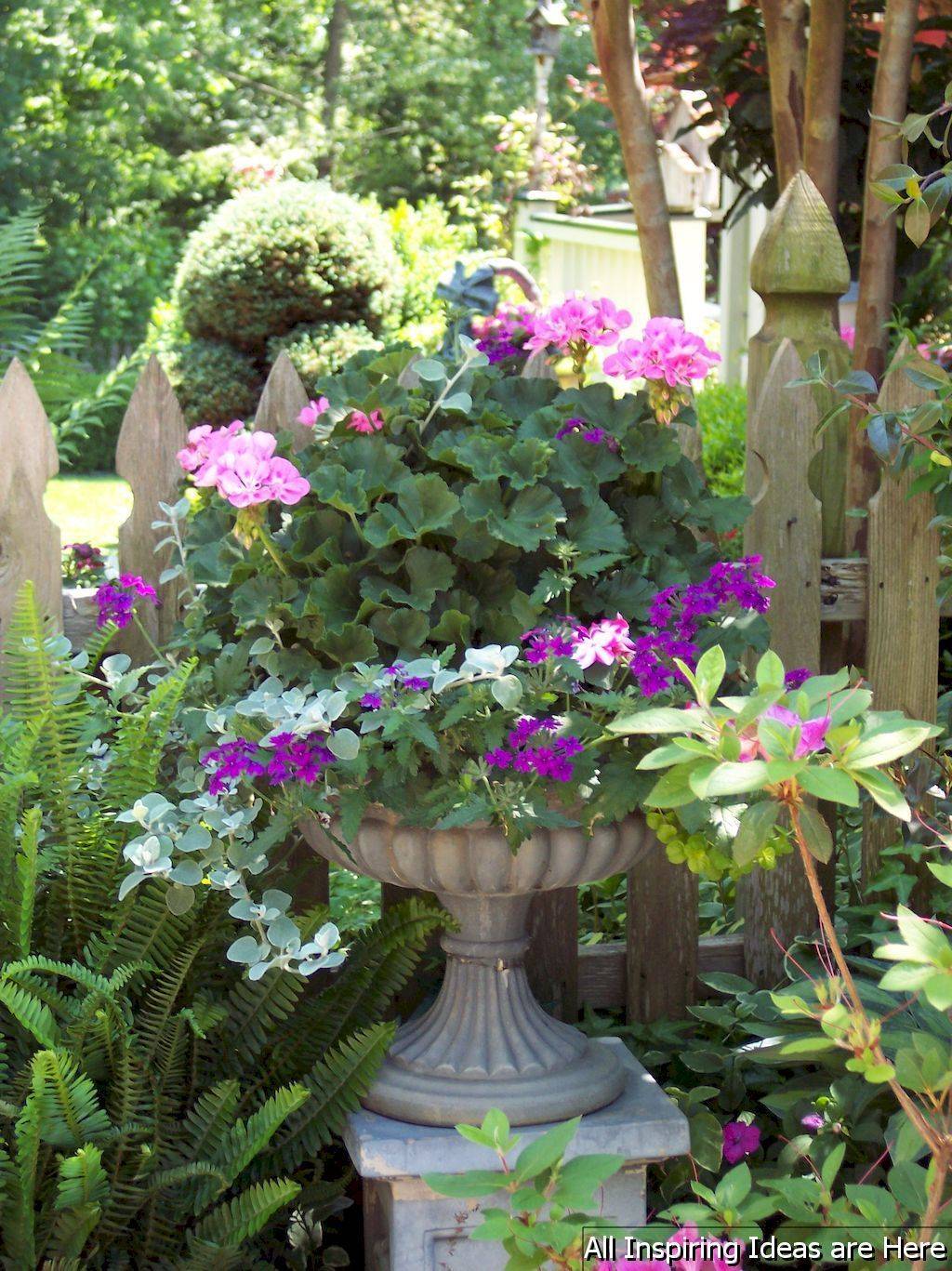 Container Gardening Ideas