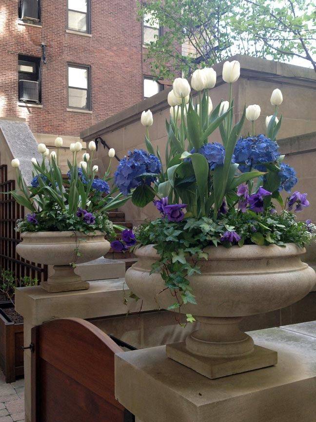Inspiring Spring Garden Ideas