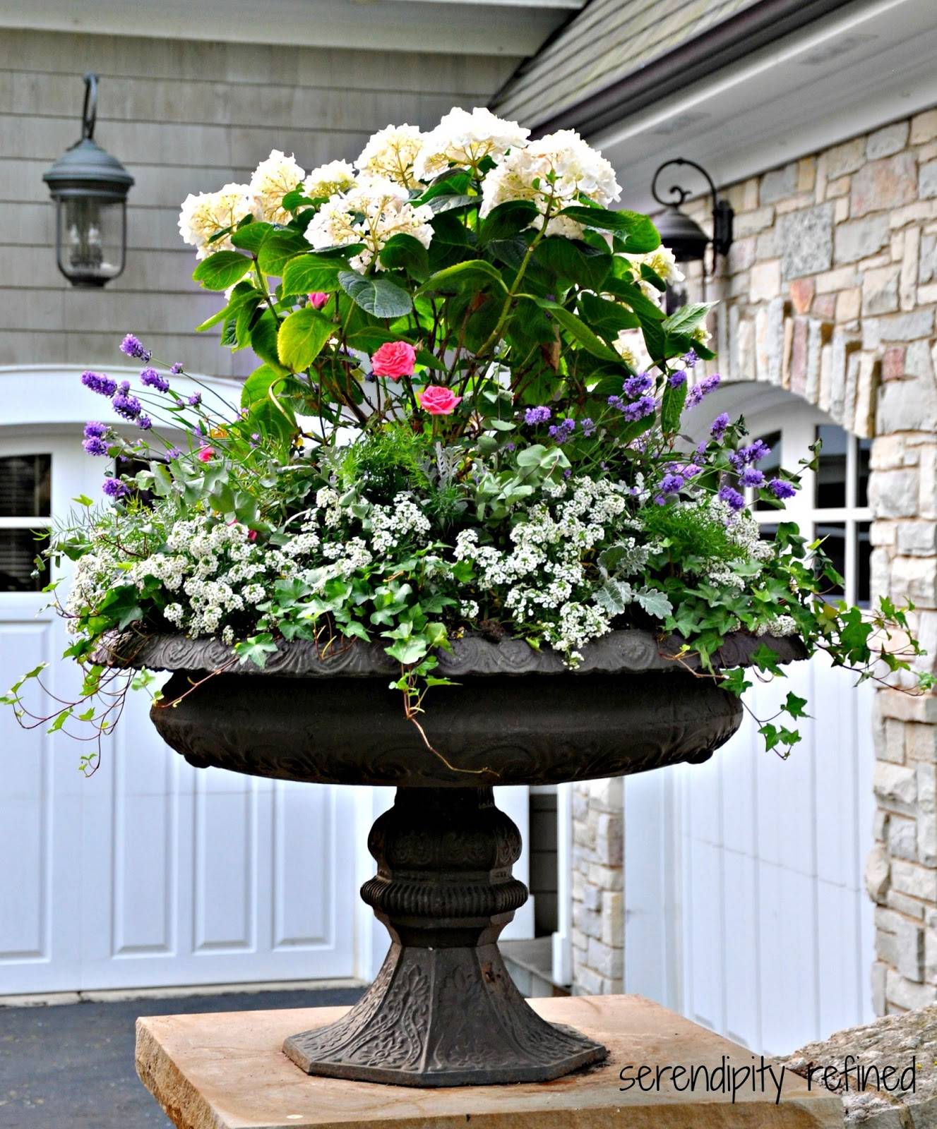 Beautiful Container Garden Flowers Ideas