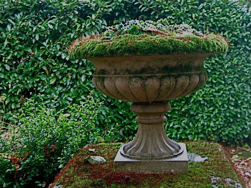 Beautiful Winter Urns