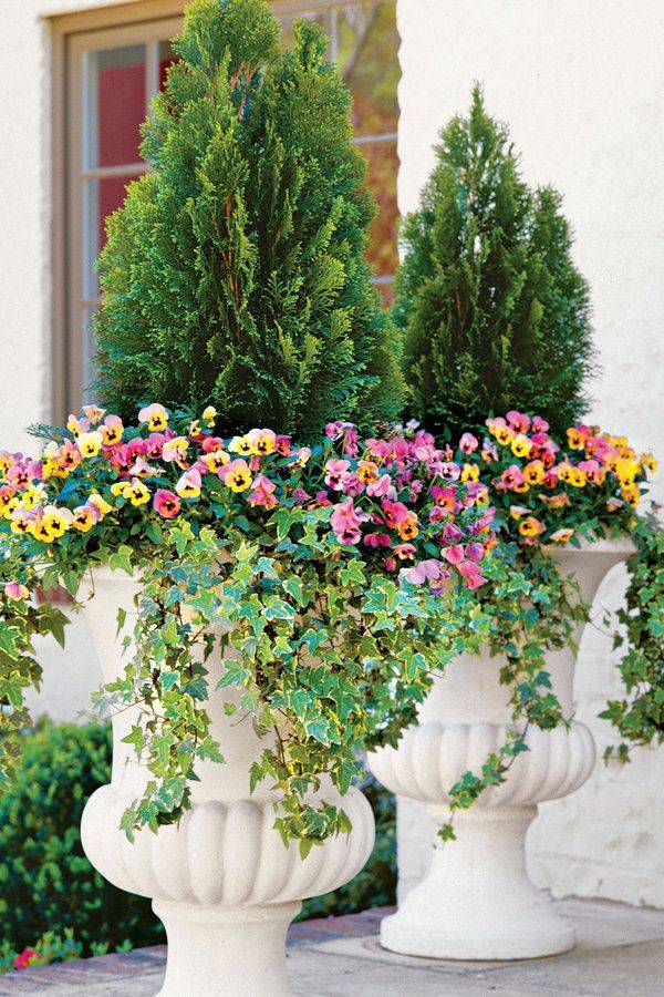 Container Gardening Outdoor Urns