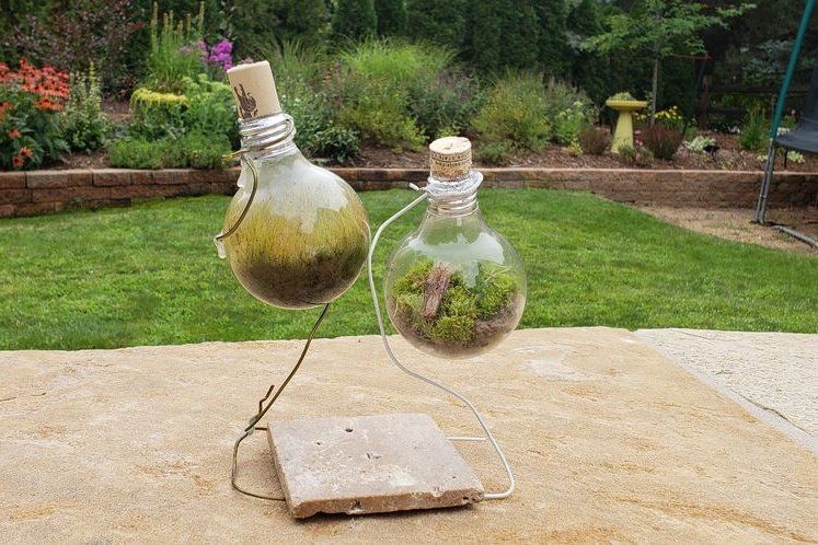 Light Bulbs Garden