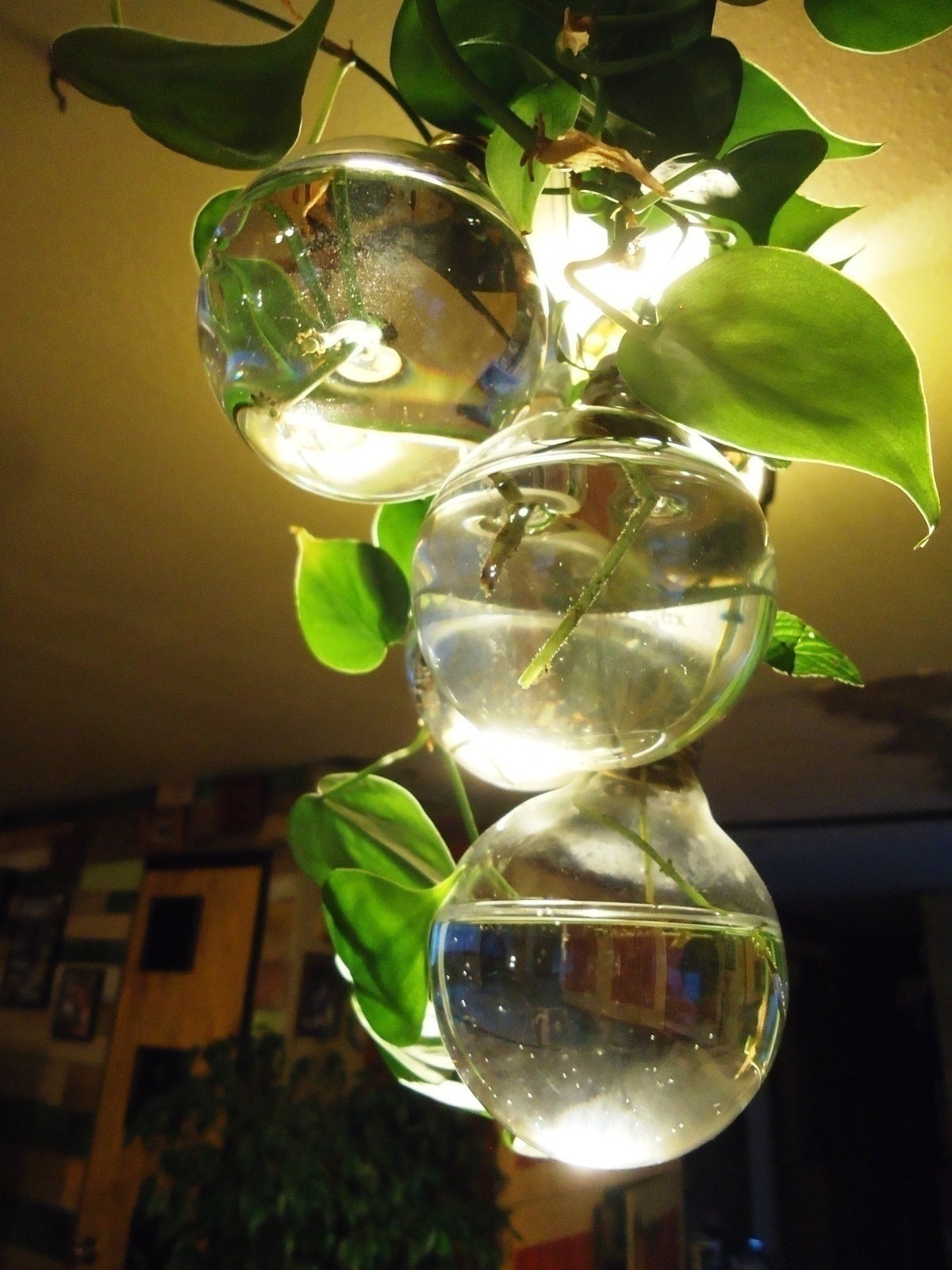 Outdoor Solar String Lights Solar Powered Traditional Hanging Lighting