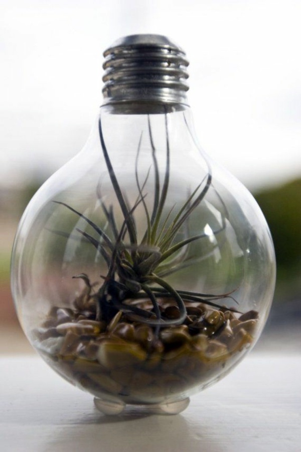 Solar Light Bulb String Lights Pk