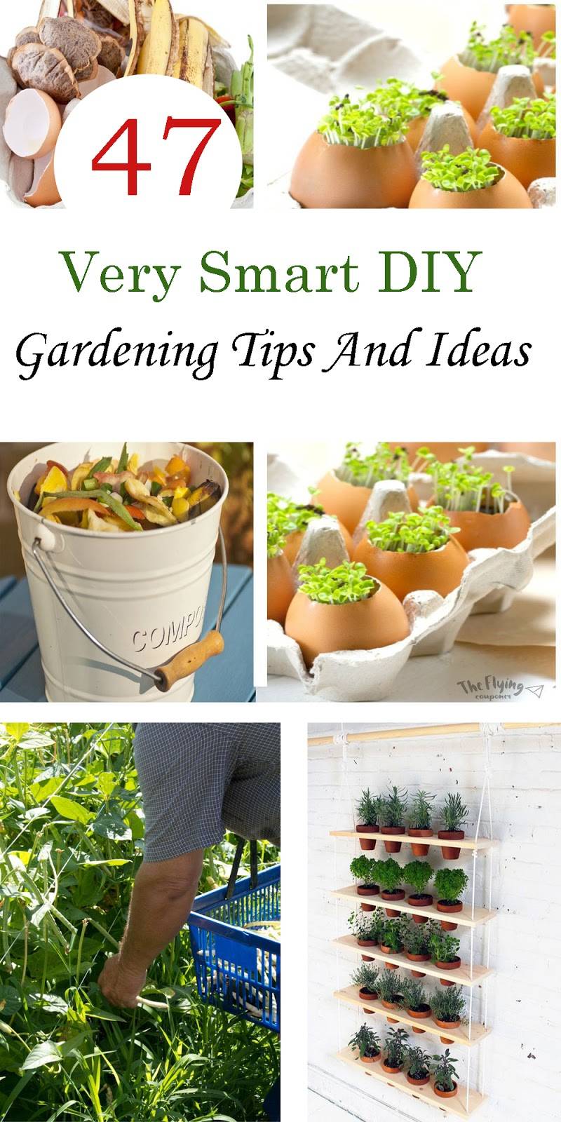 Raised Bed Designs