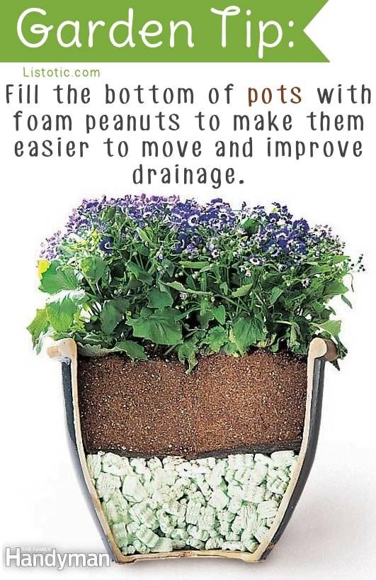 Herb Gardening Tips