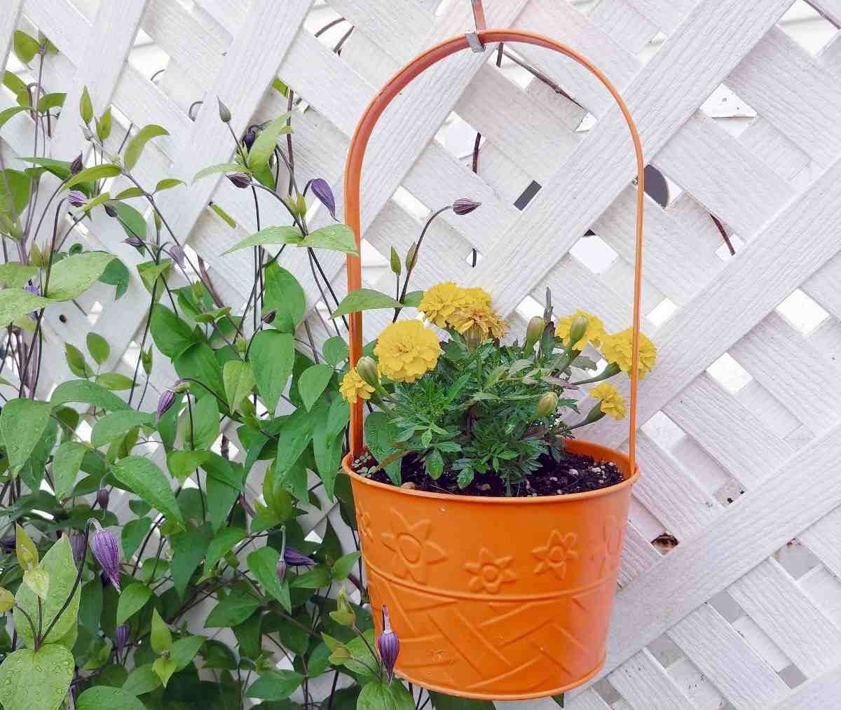 Very Smart Diy Gardening Tips
