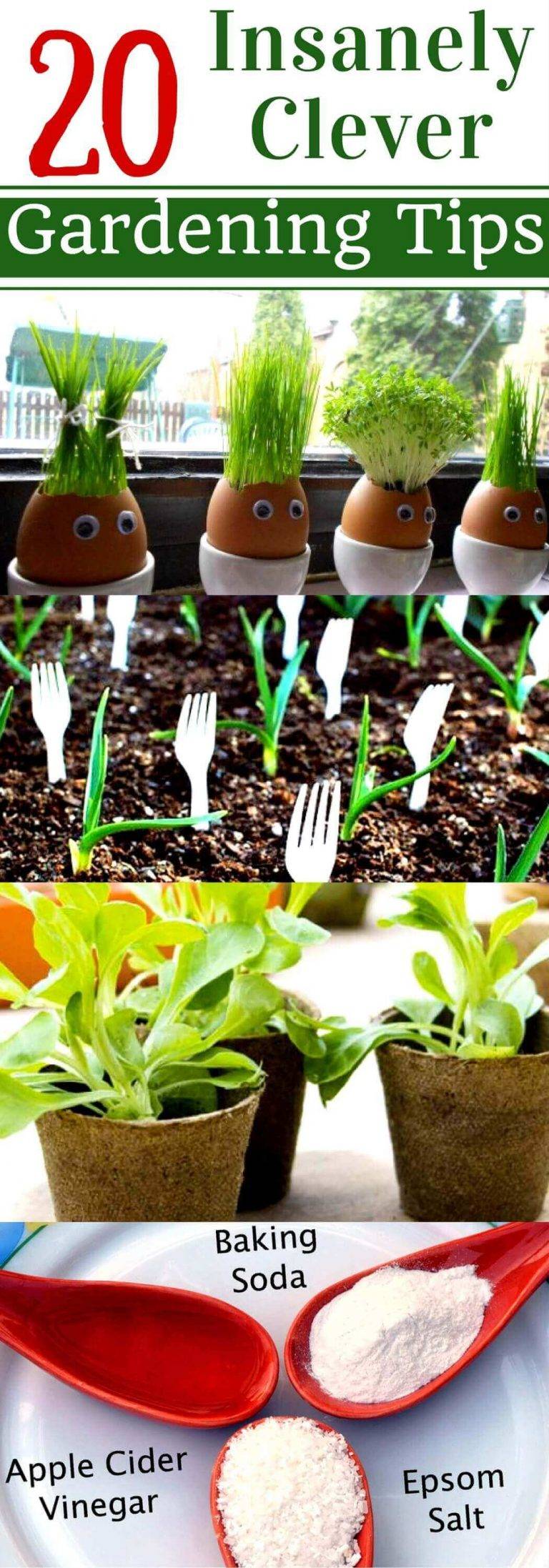 Organic Container Gardening Ideas