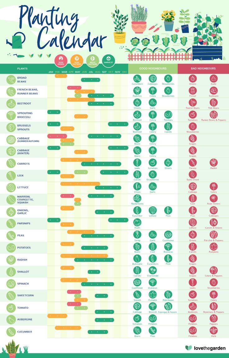 Seed Calendar