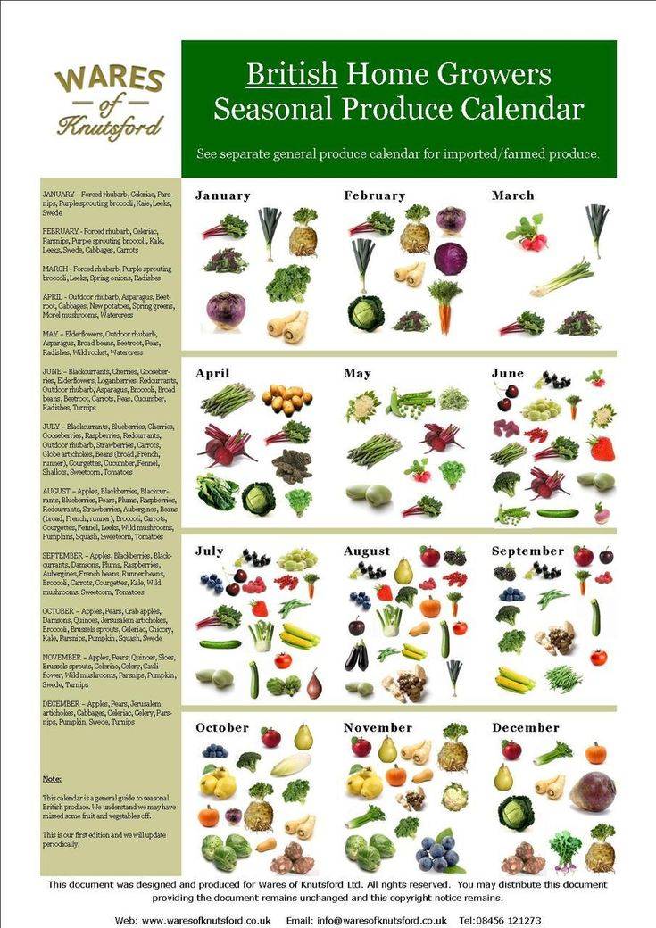 Vegetable Garden Calendar