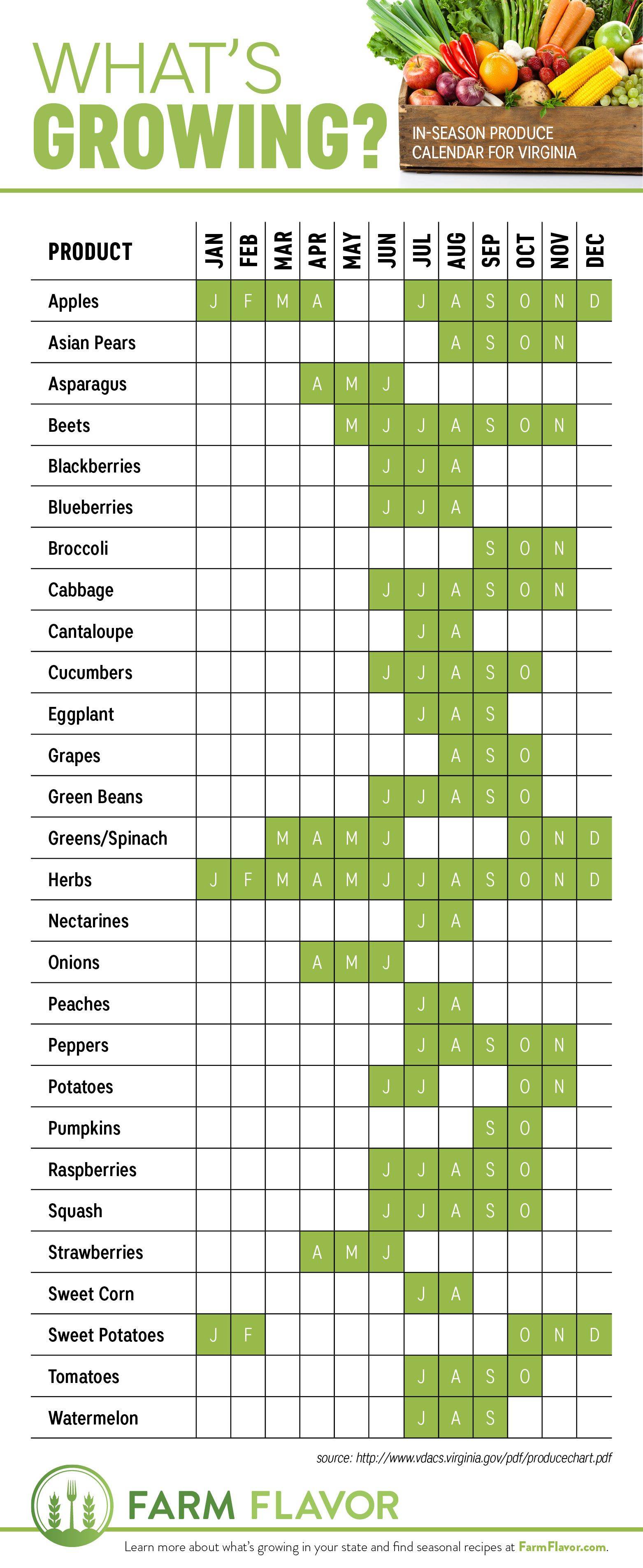 The Happy Planner