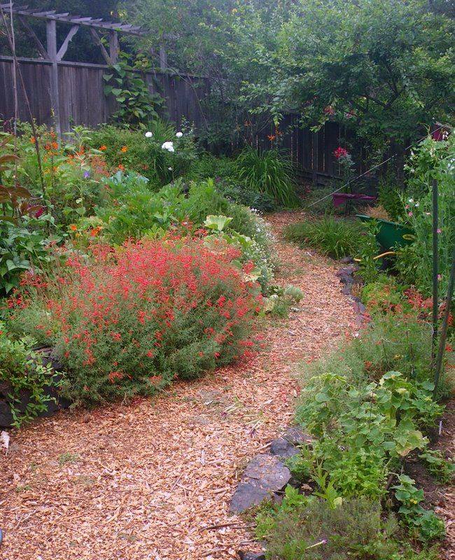 Incredible Cheap Garden Path