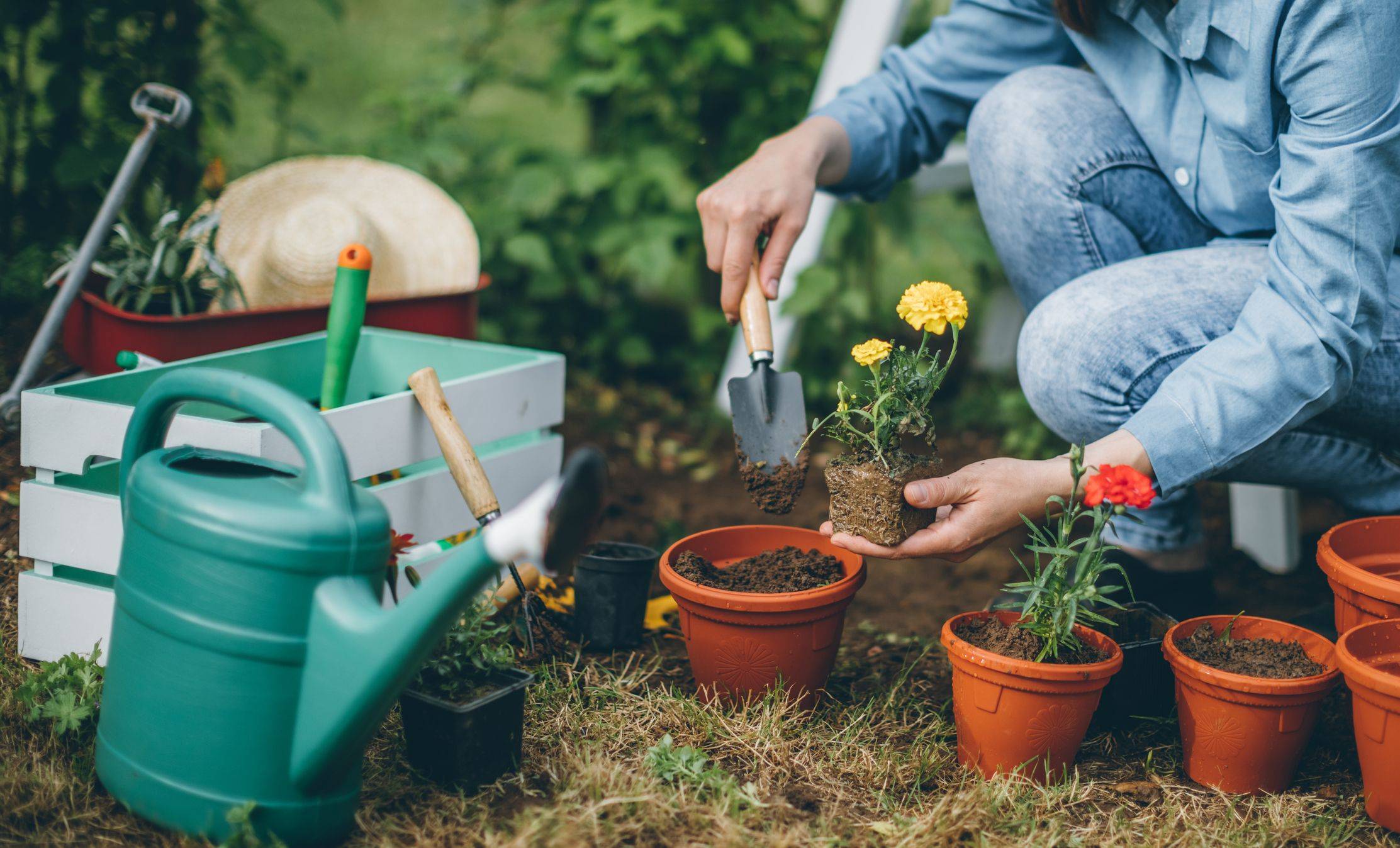 April Garden Tour