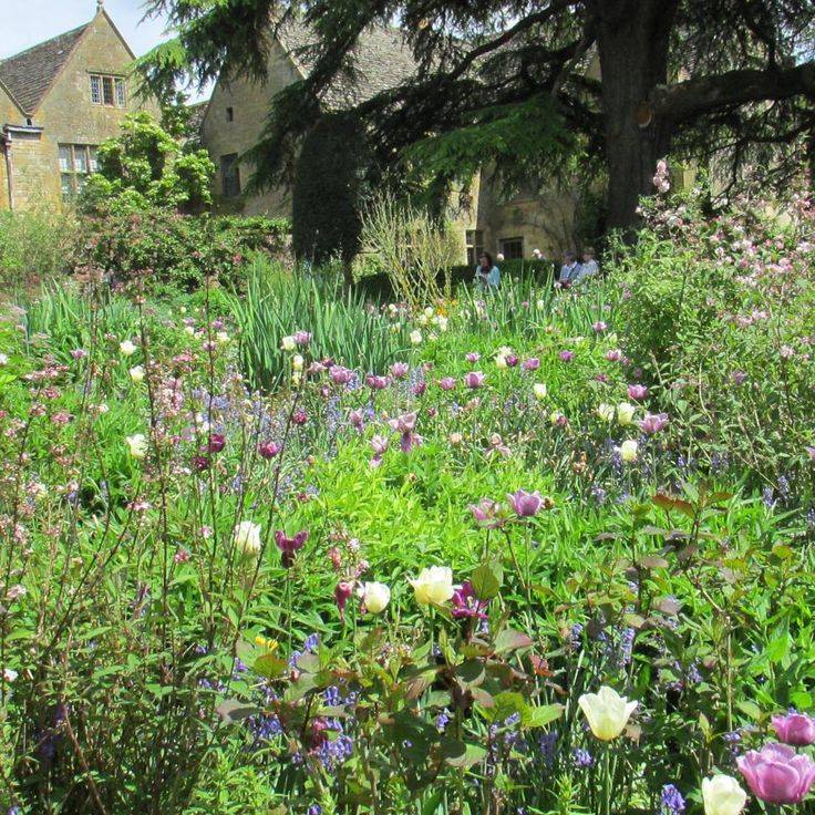 A Theme Garden Garden Landscape
