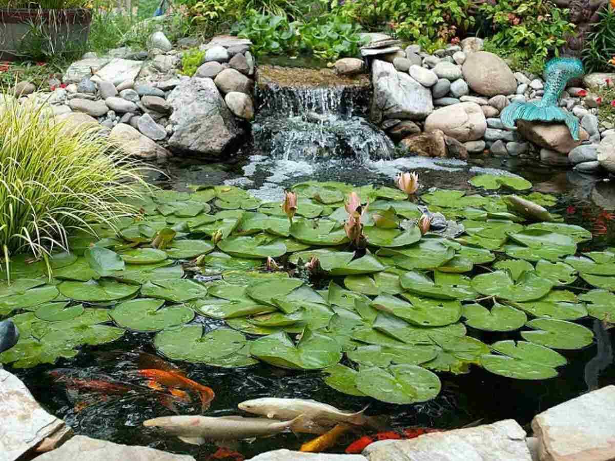 Summer Gardening Ideas