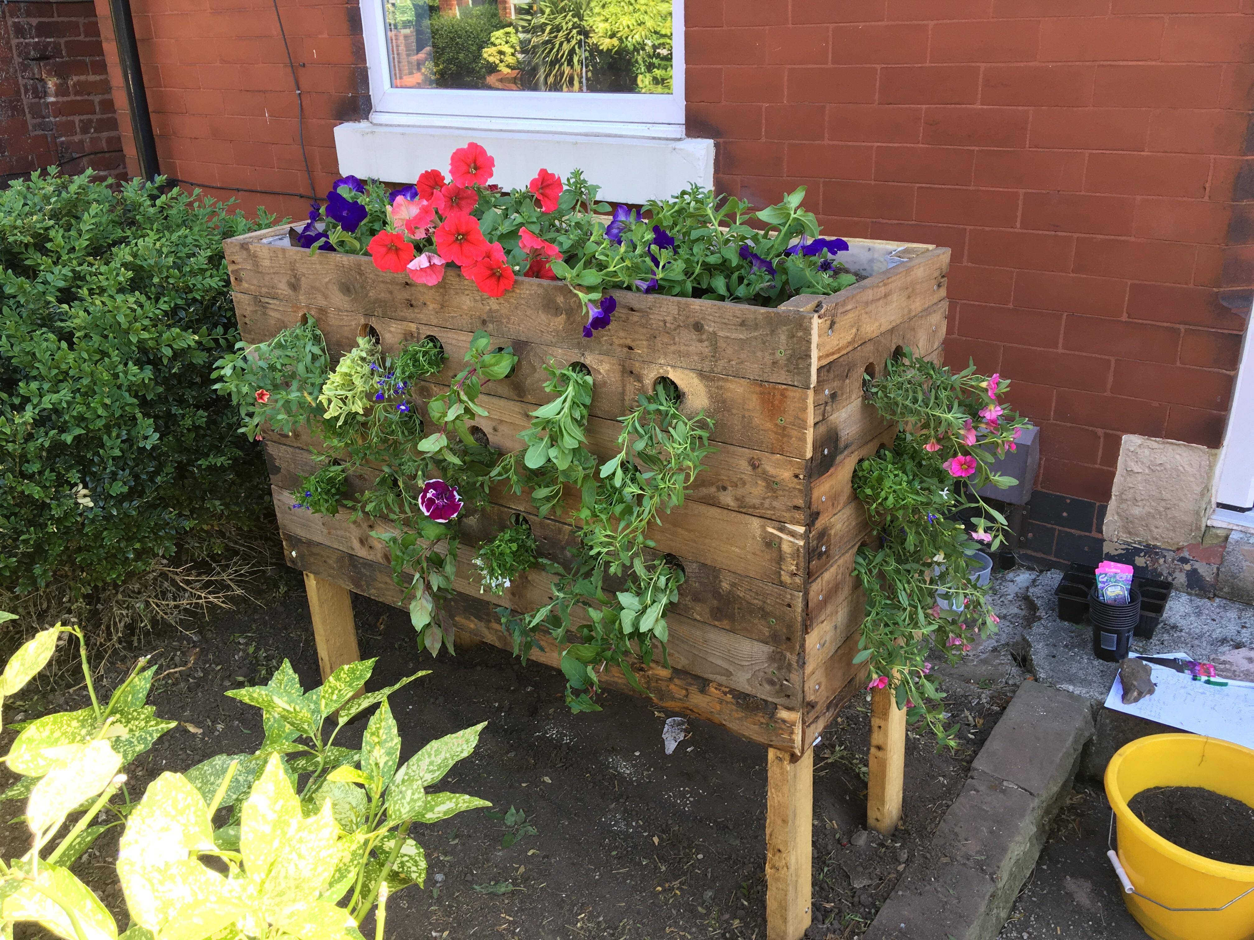 Herb Garden