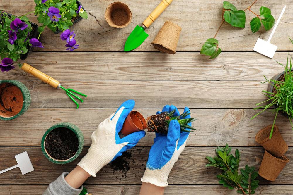 A Unique Diy Garden