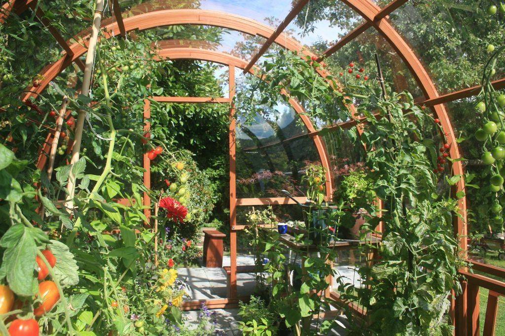 Pin On Gardening