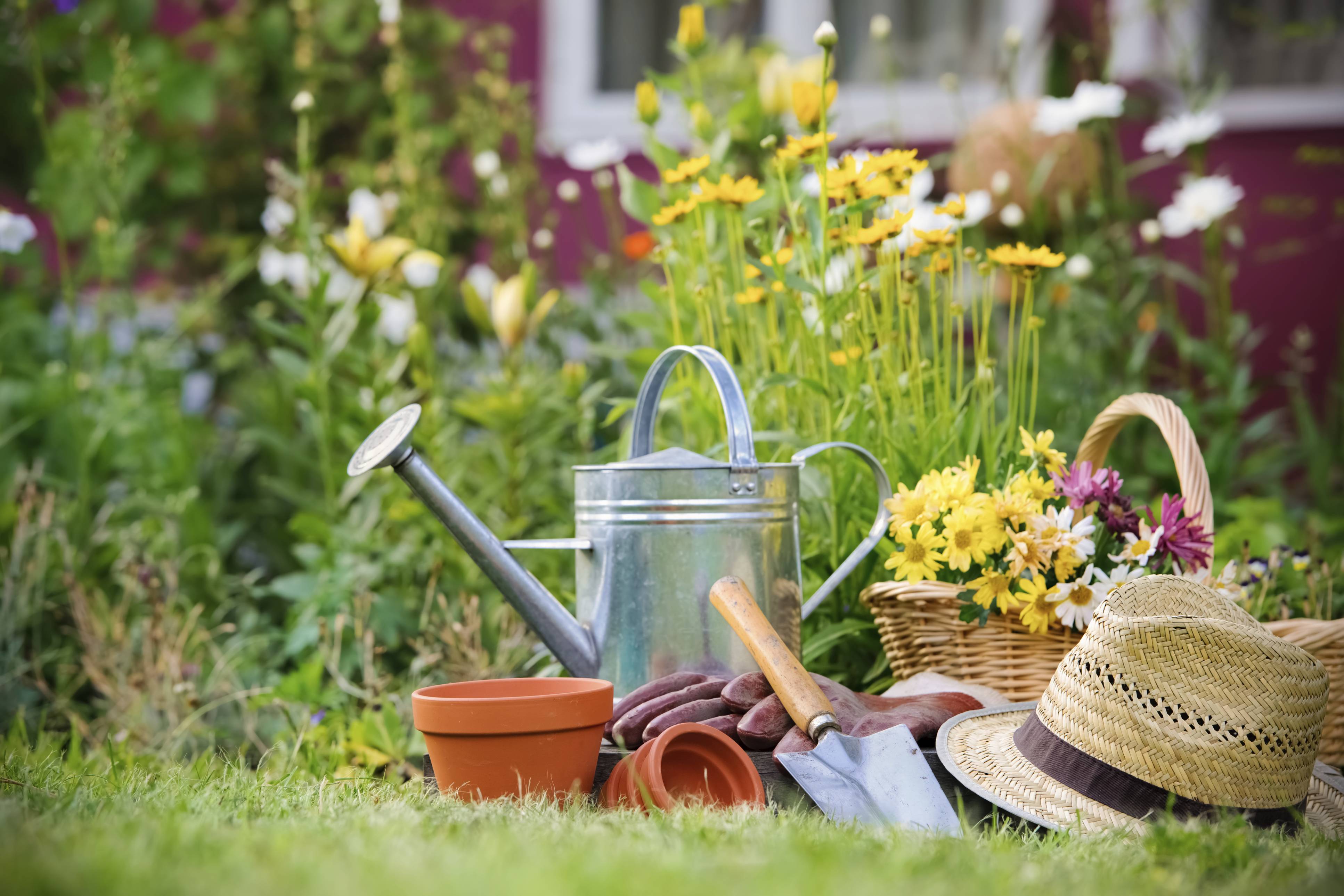 A Perfect Summer Garden Party