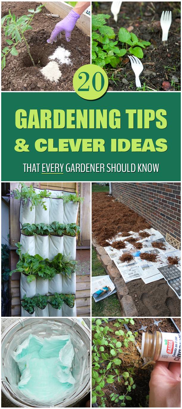 Supereasy Gardening Tips Youll Use Again And Again Sheknows