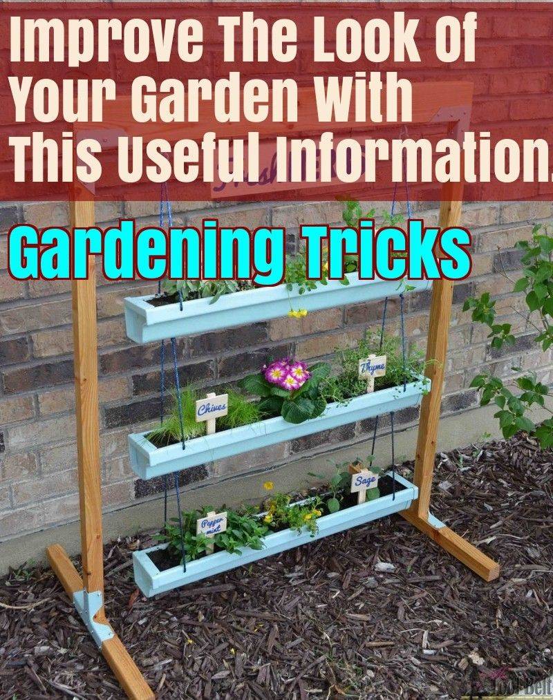 Gardening Secrets Top Gardening Tips