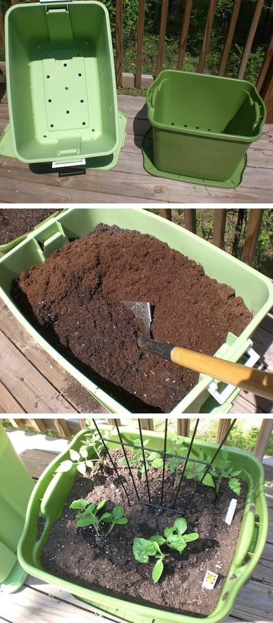 Summer Gardening Tips