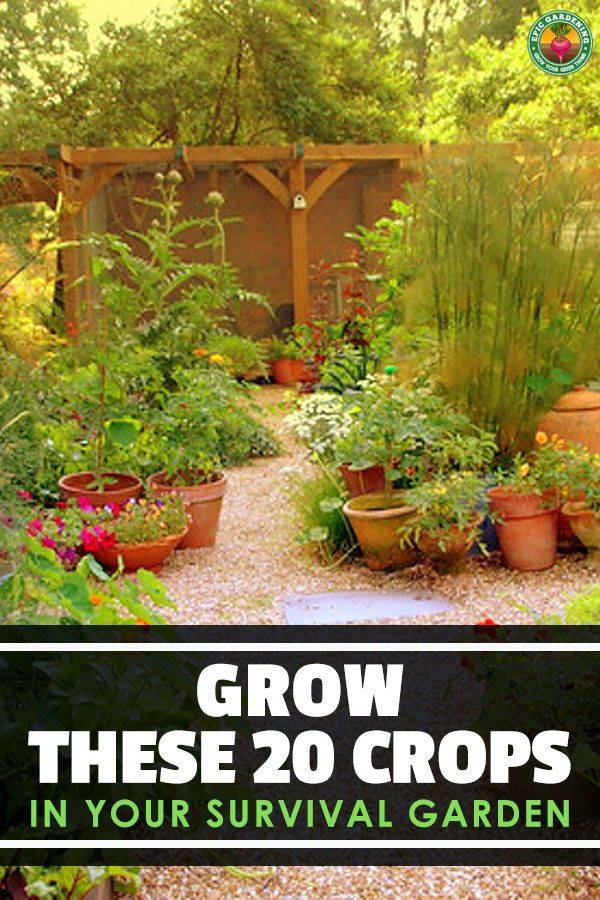 Sensational Gardening Hacks