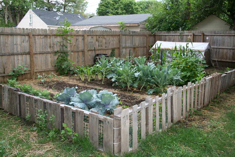 A Survival Garden