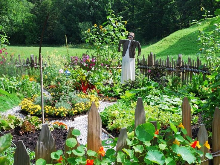 Urban Survival Gardening