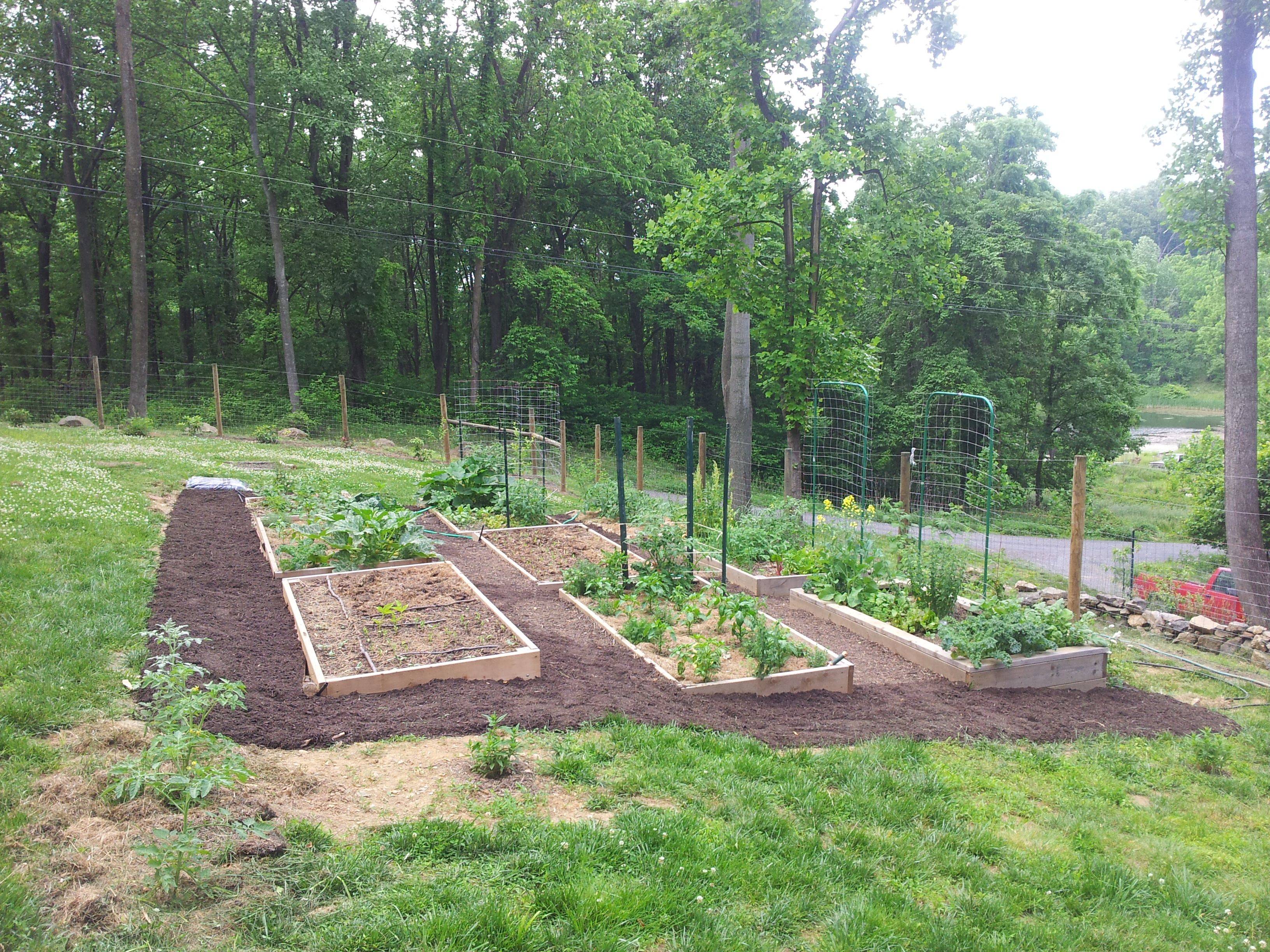 Vegetable Garden Small Spaces Design Ideas