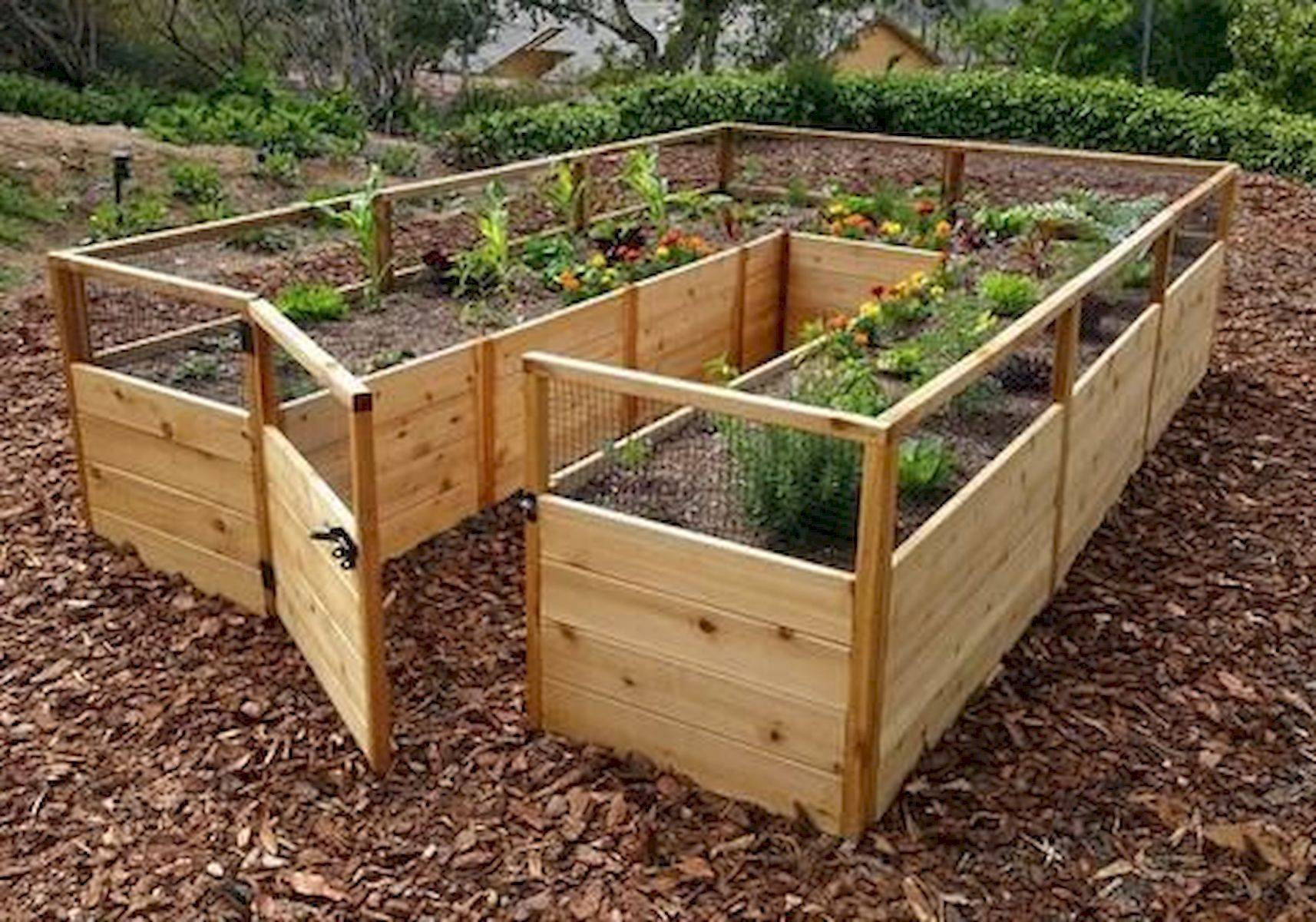 Simple Diy Vegetable Garden Small Spaces