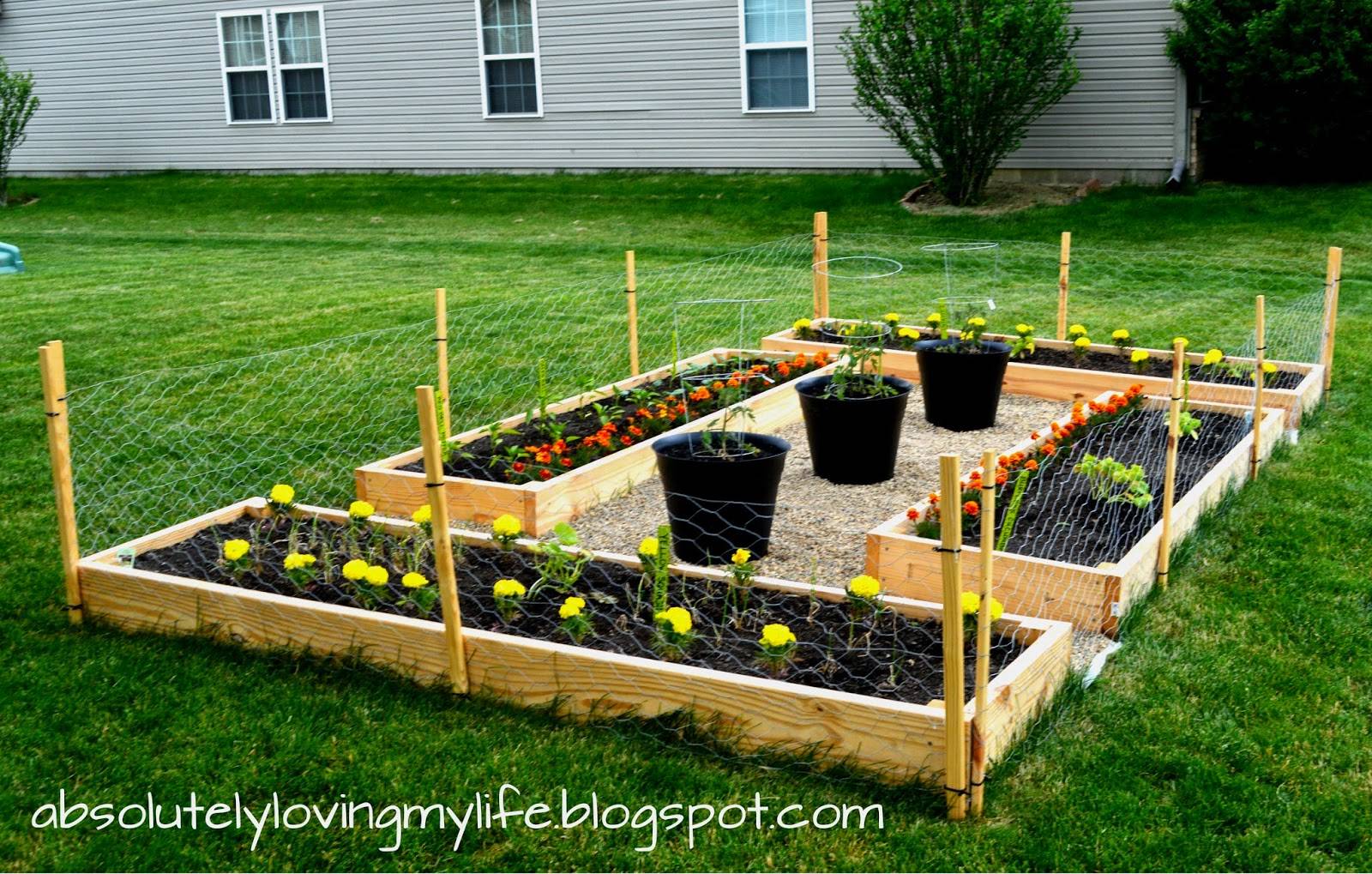A Vegetable Garden