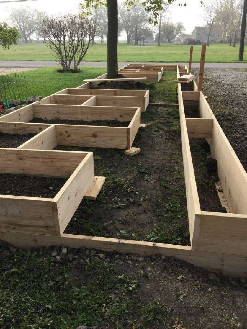 Diy Beginner Raised Garden Bed Raised Garden Beds