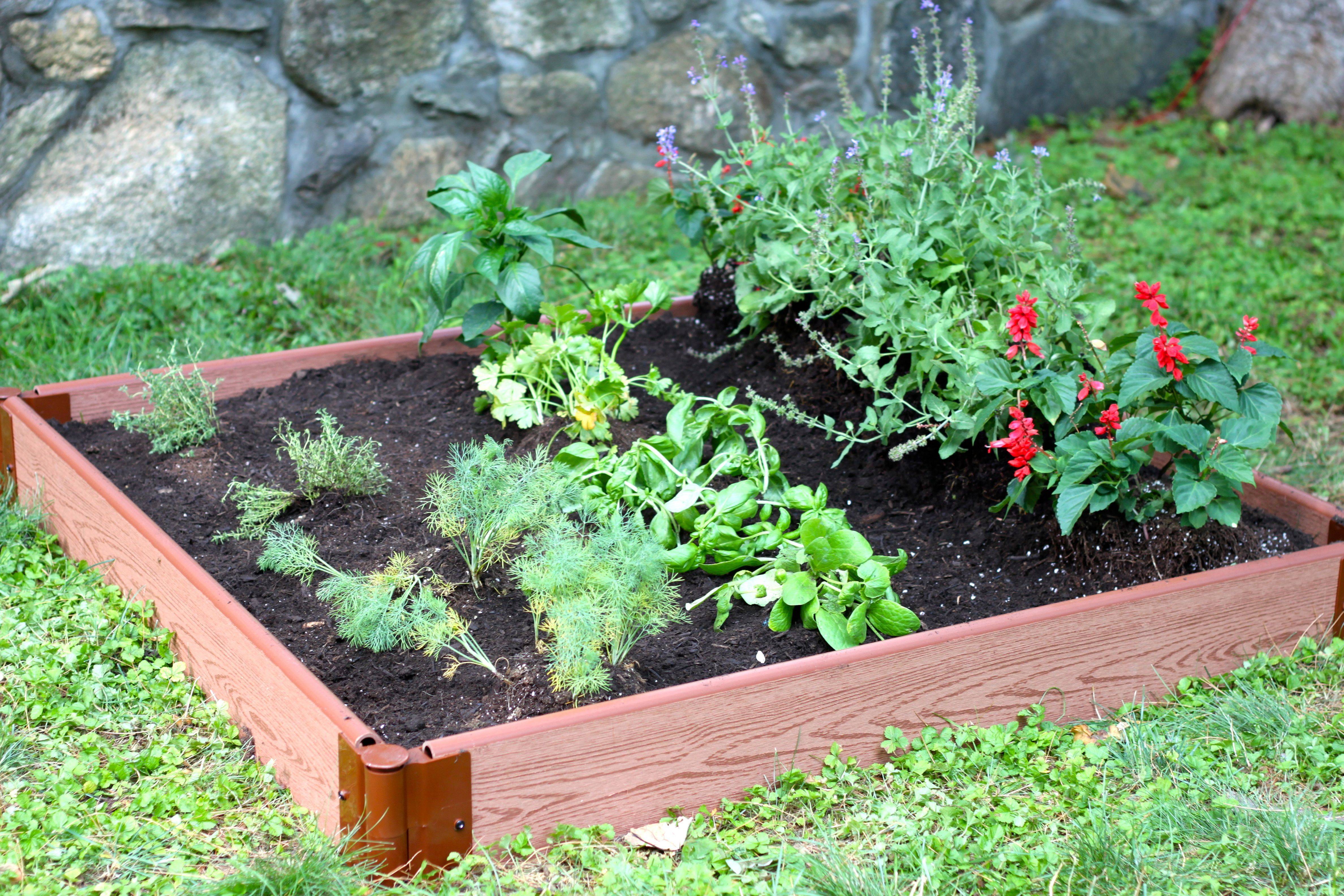 A Beautiful Garden Landscape