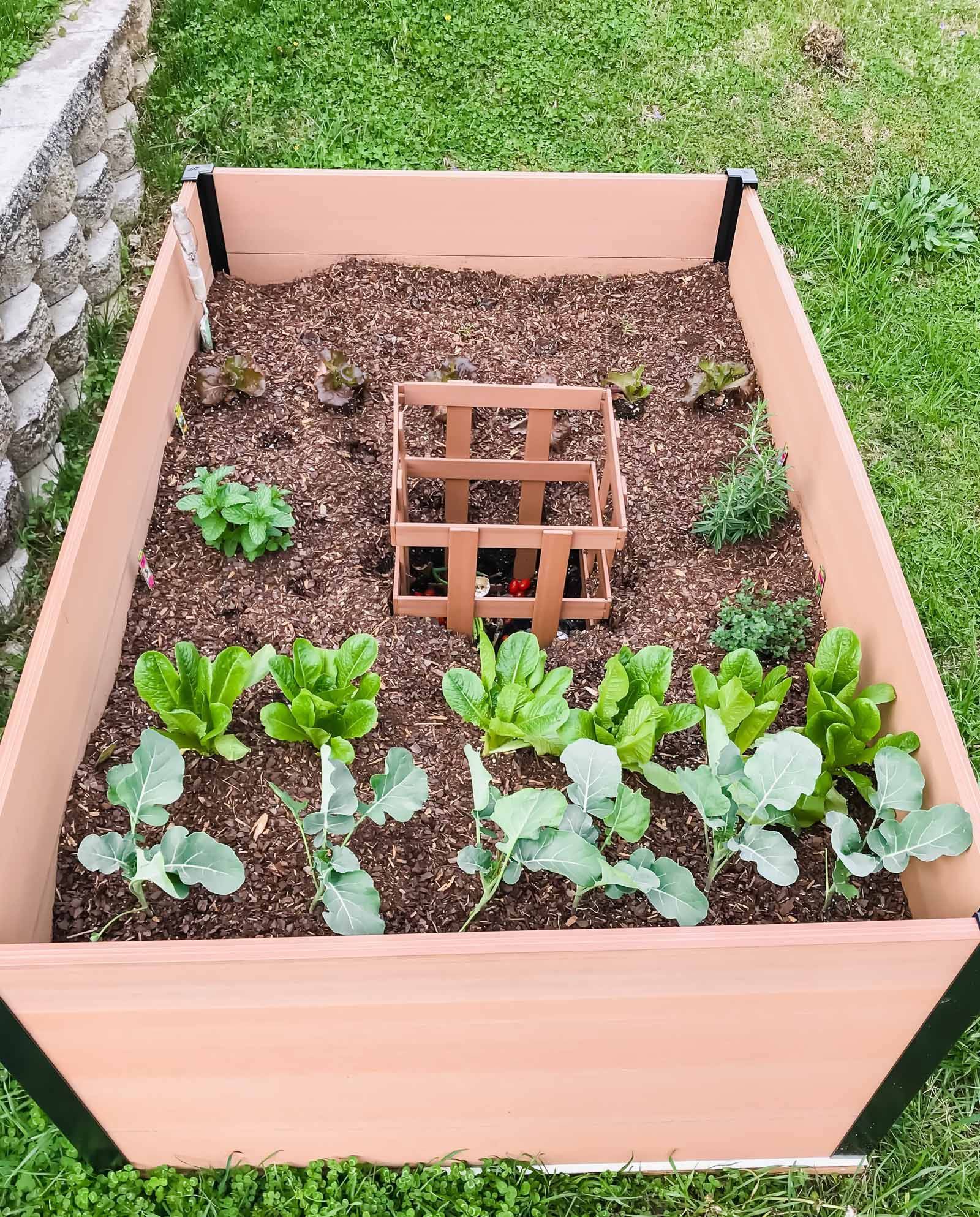 Raised Bed Vegetable Gardening For Beginners Rayagarden