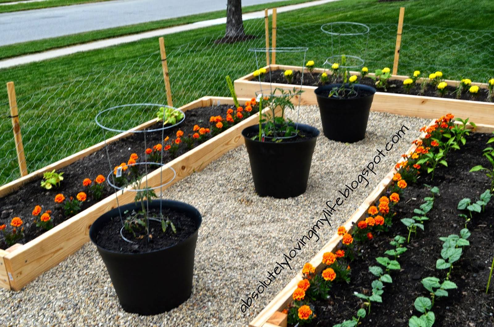 Vegetable Garden Bed Ideas