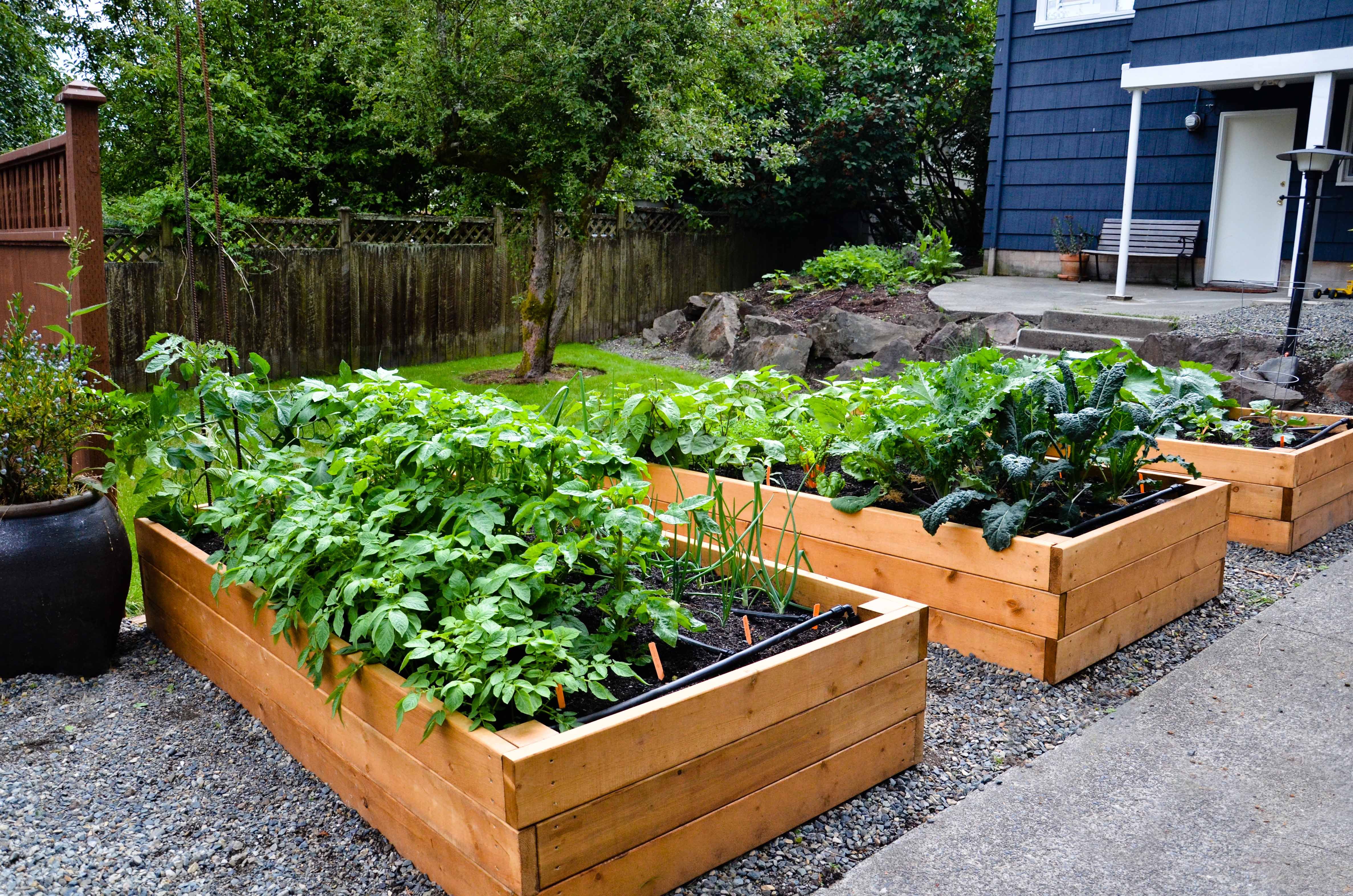 Before You Build Raised Beds For Gardening