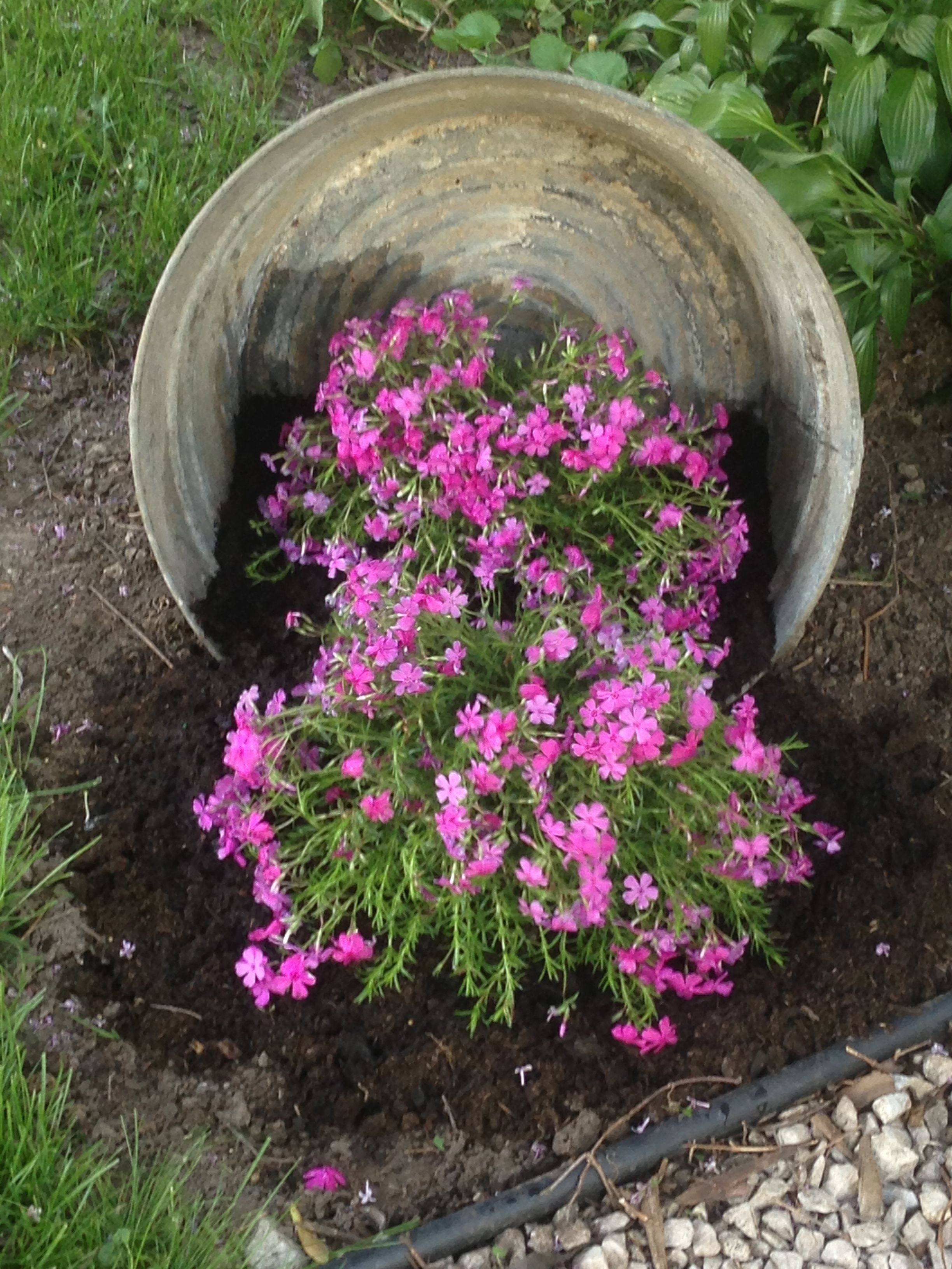 Stunning Container Garden Planting Design Ideas