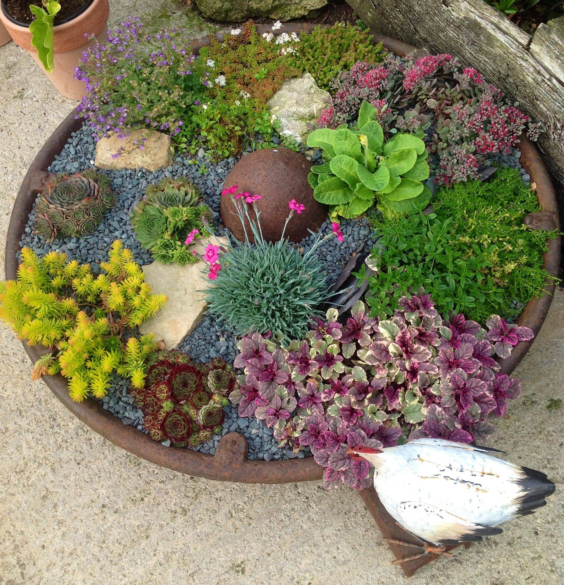 Best Creative Garden Container Ideas