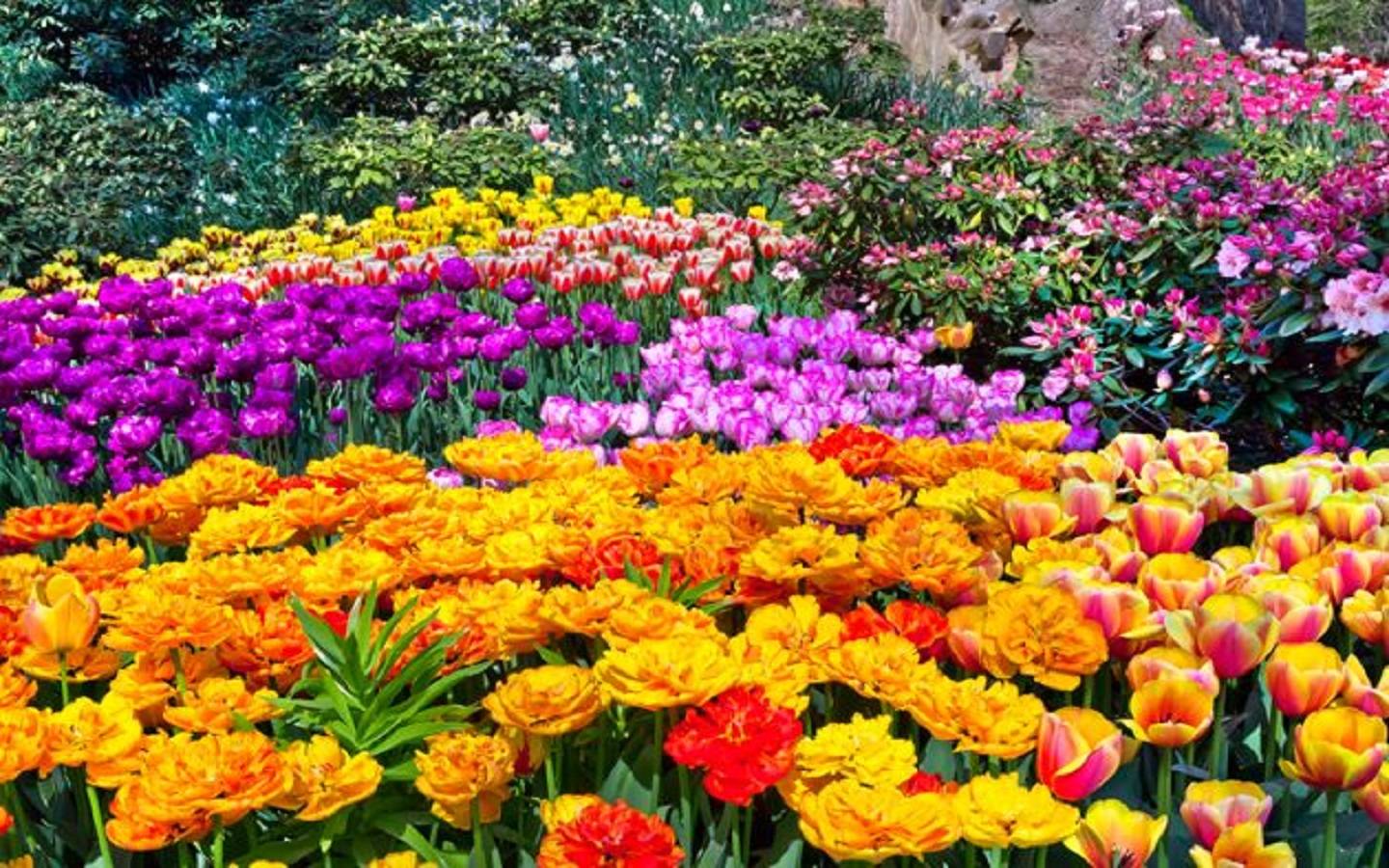 Best Garden Border Ideas Images