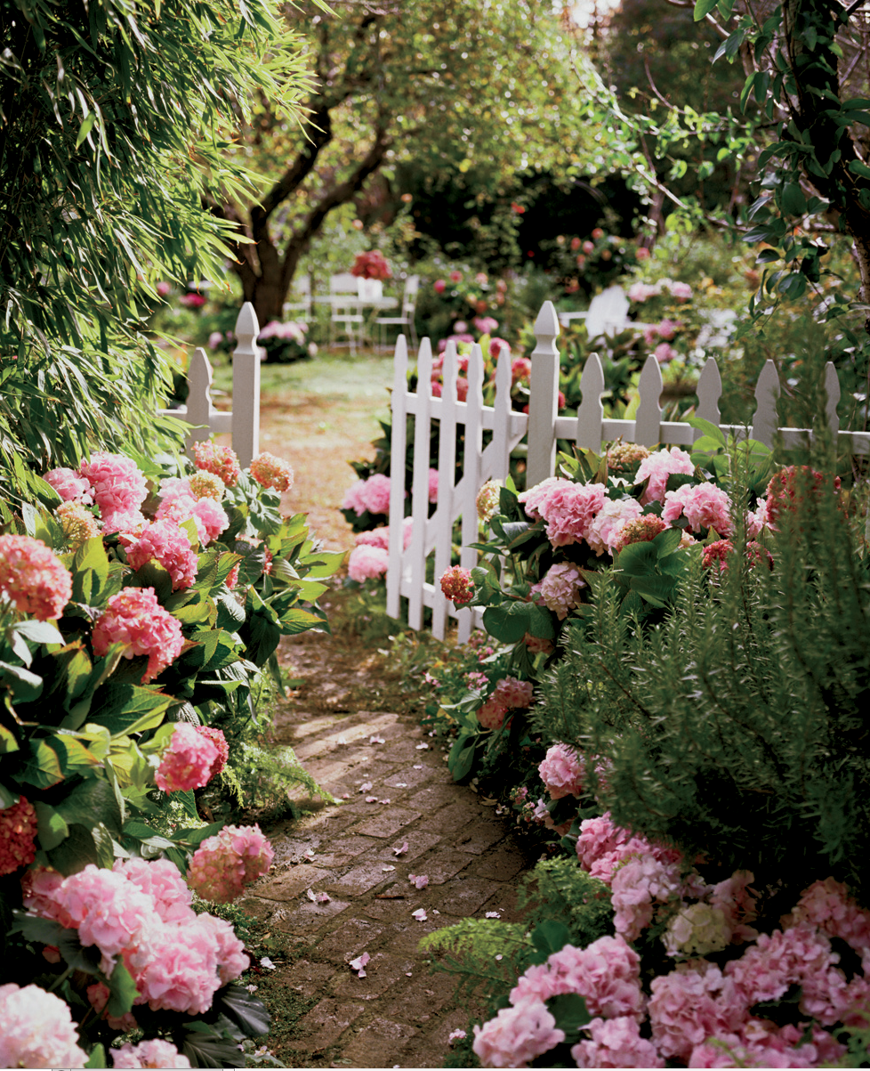English Flower Garden Pictures