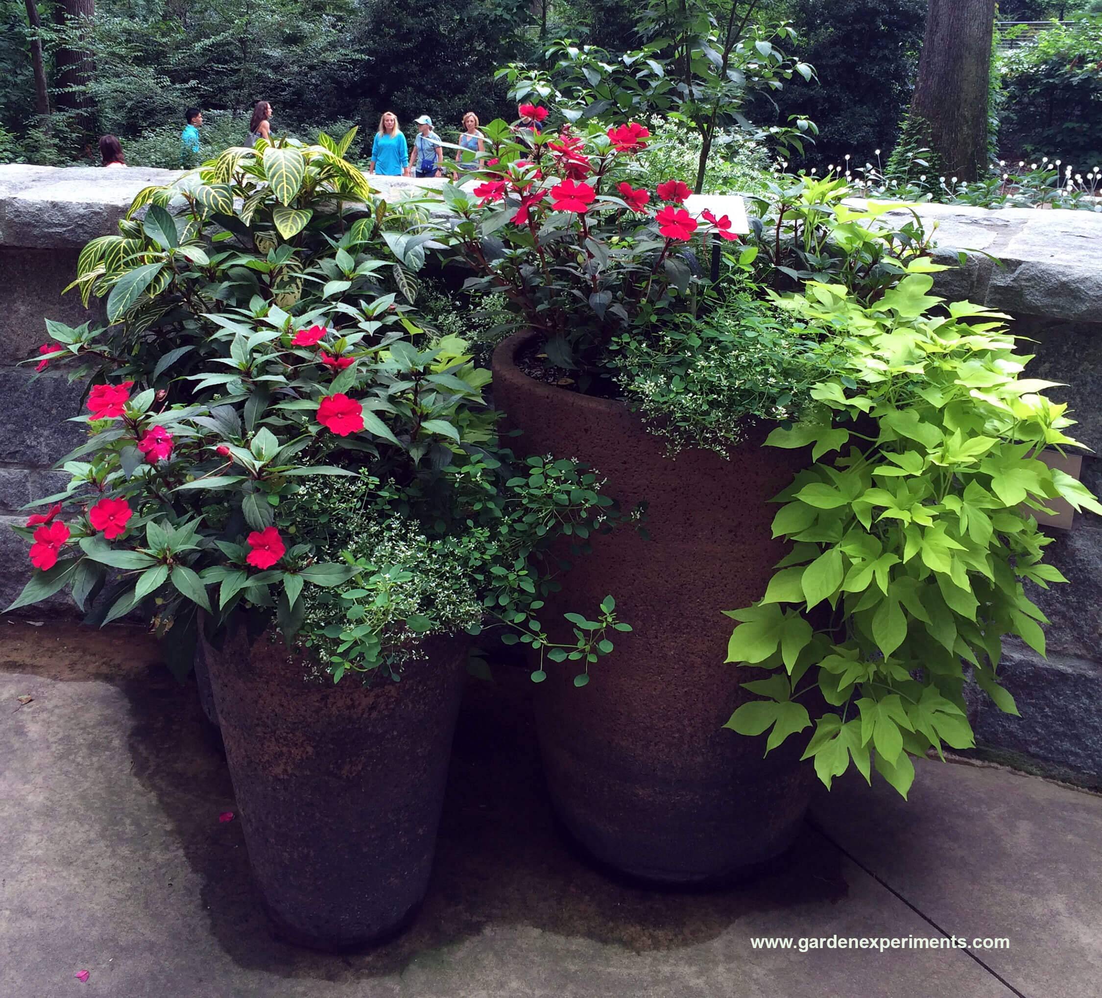 A Container Garden